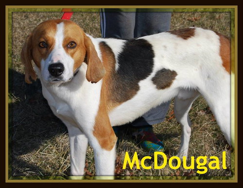 McDougal