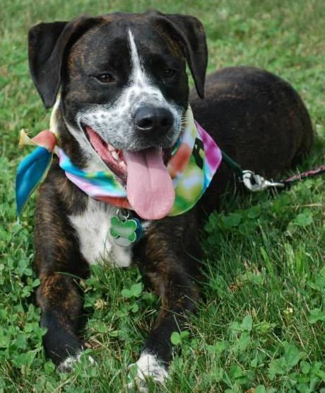 Maxwell: fostered