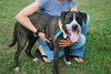 Maxwell: fostered