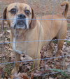 Duke-Reclaimed!