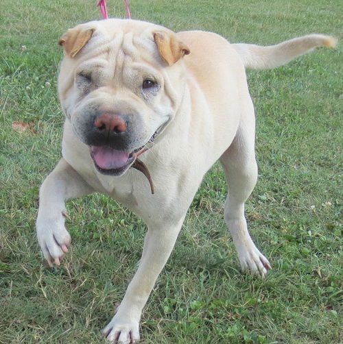 Wilbur-RECLAIMED!