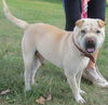Wilbur-RECLAIMED!