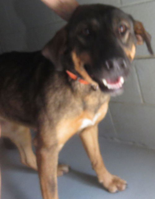 Maisy: RECLAIMED!