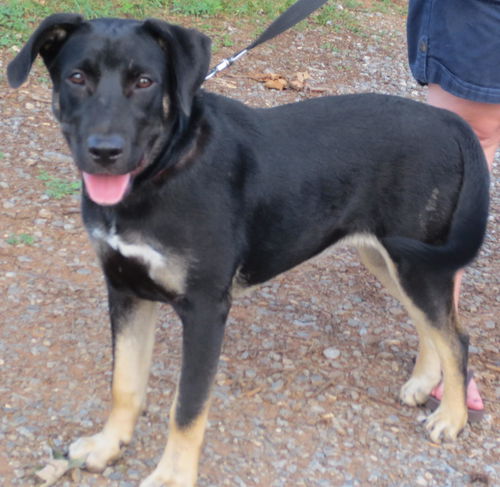 Sammi: happy and hopeful
