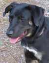 Sammi: happy and hopeful