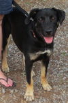 Sammi: happy and hopeful