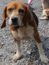 LuLu: learning about love