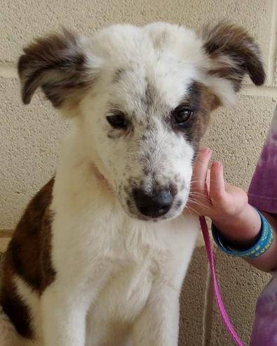Snickers: sweet to look at!