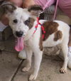 Snickers: sweet to look at!