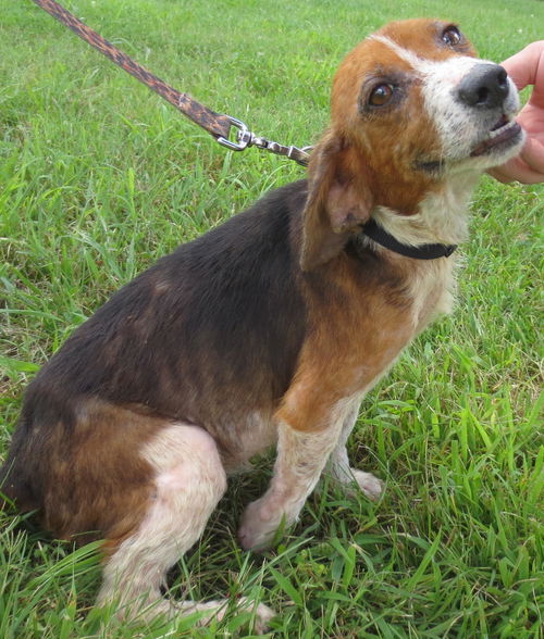Scarlett: precious girl!