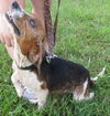 Scarlett: precious girl!