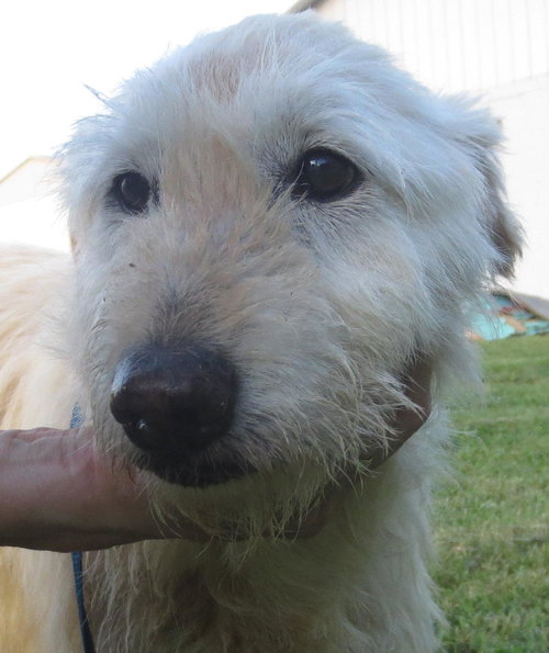 Justine: needs your love!