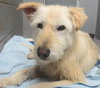 Justine: needs your love!