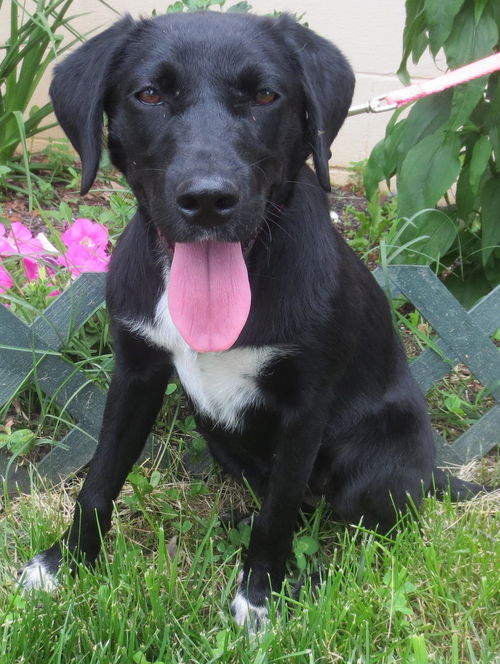 Liesel: lovely little lady!