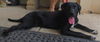 Liesel: lovely little lady!