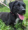 Liesel: lovely little lady!