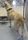 Ellie: reclaimed!