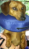 Henri: