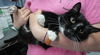 Aki: amazing armful!