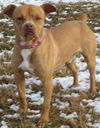 Emmitt