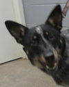 JJ: love and tender care needed!