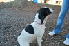 Josie