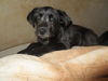 Lilly: So sweet!