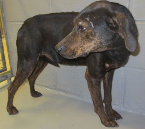 Marti: shy but sweet