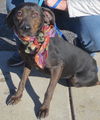 Marti: shy but sweet