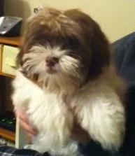 Jingles: Sweet little thing!