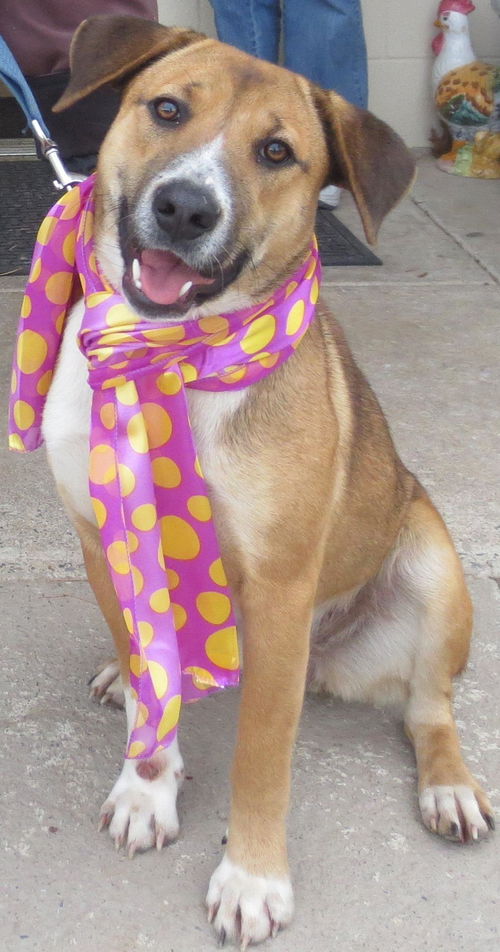 Lucy Lu : Fashionista!