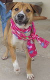 Lucy Lu : Fashionista!