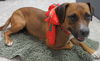 LuLu: cutie pie supreme!
