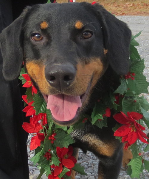 Max: maxiumum personality!