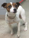 Simba, smashingly cute!