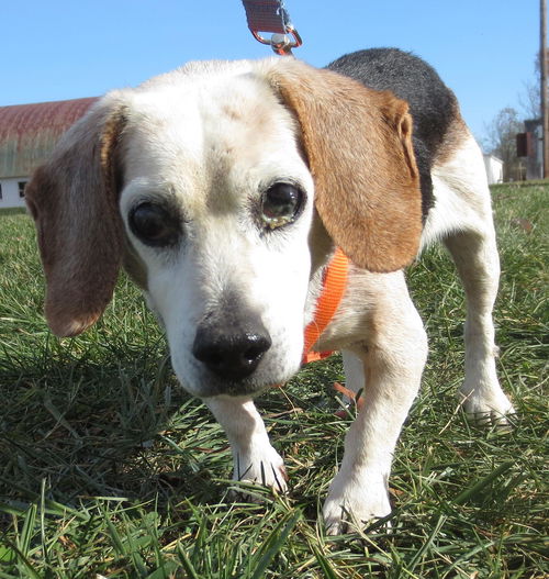 Amy:Rescue pending