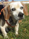 Amy:Rescue pending