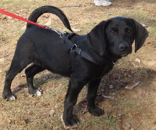 Oakley--handsome man!