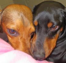 Liesel and Lionel