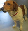 Shiloh: Reclaimed!