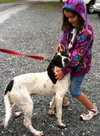 Dottie