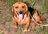 Winnie