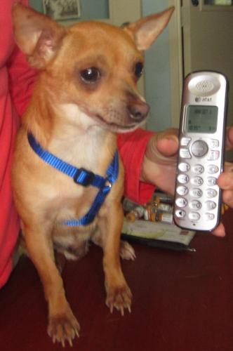 Juanito