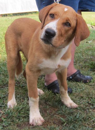 Pup McHugh: one of the Big Dogs