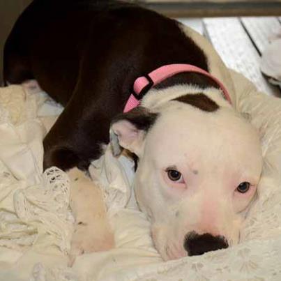 Lillie:sweet baby doll!