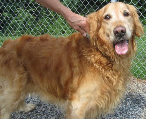 Max: adopted