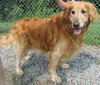 Max: adopted
