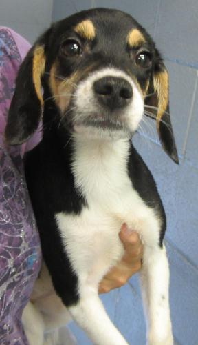 Alicia: adopted
