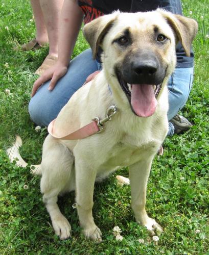 Shawnee: adopted