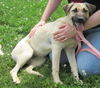 Shawnee: adopted